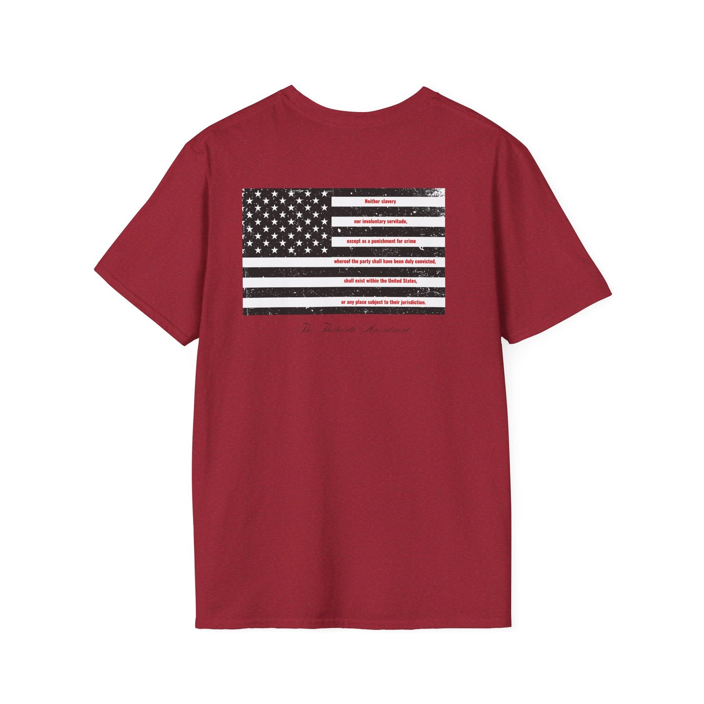 The Thirteenth Amendment