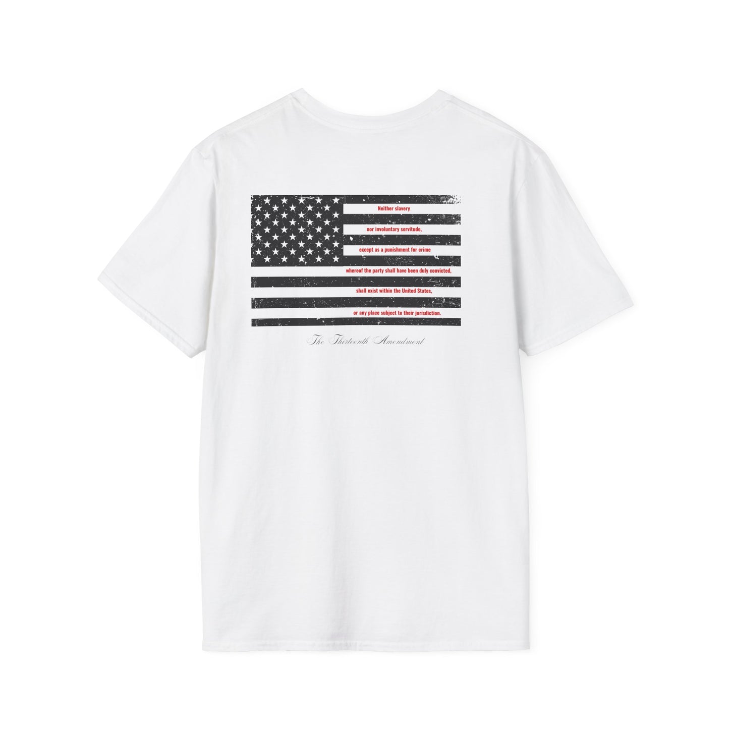 The Thirteenth Amendment