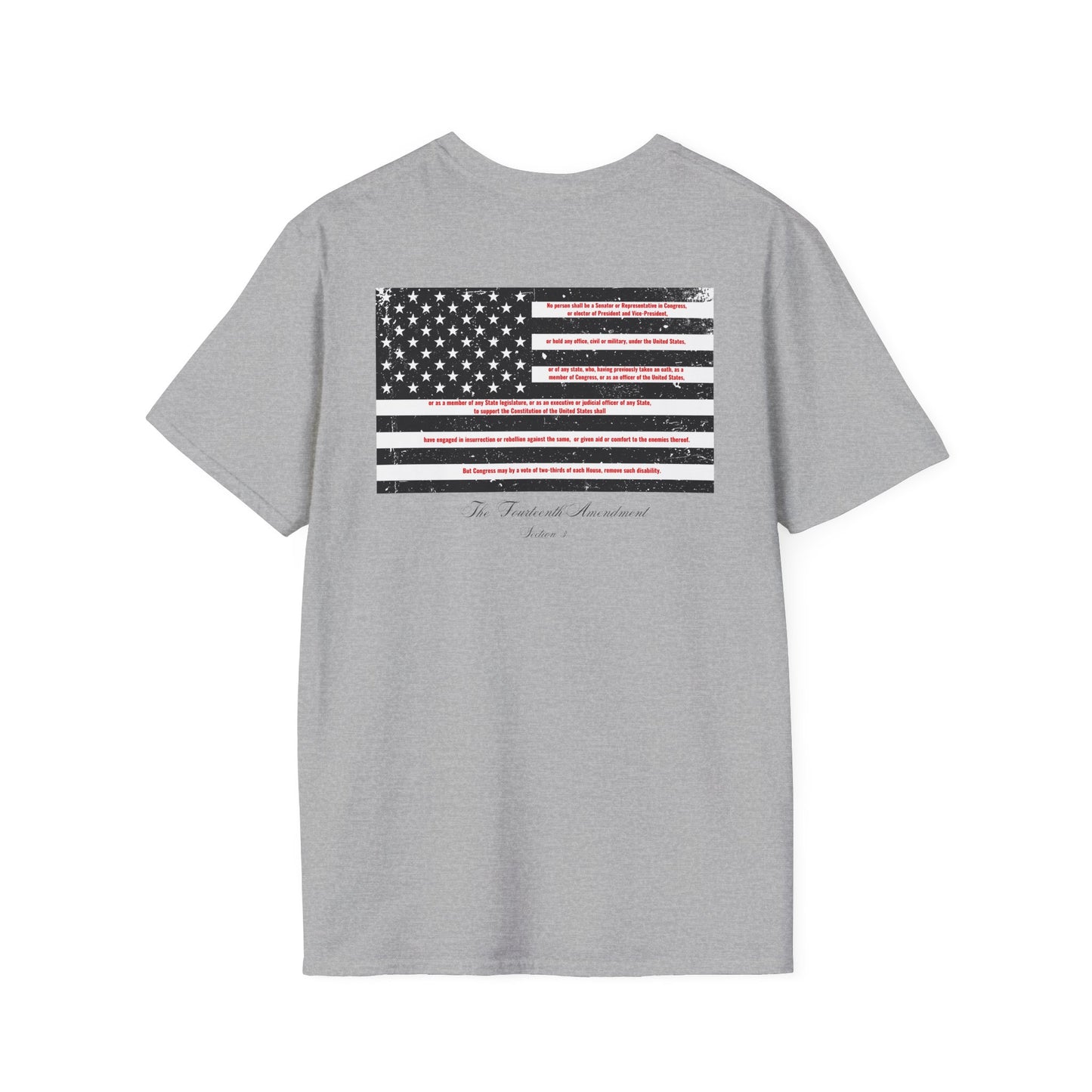 The Fourteenth Amendment (sec 3) ( Insurrection clause)