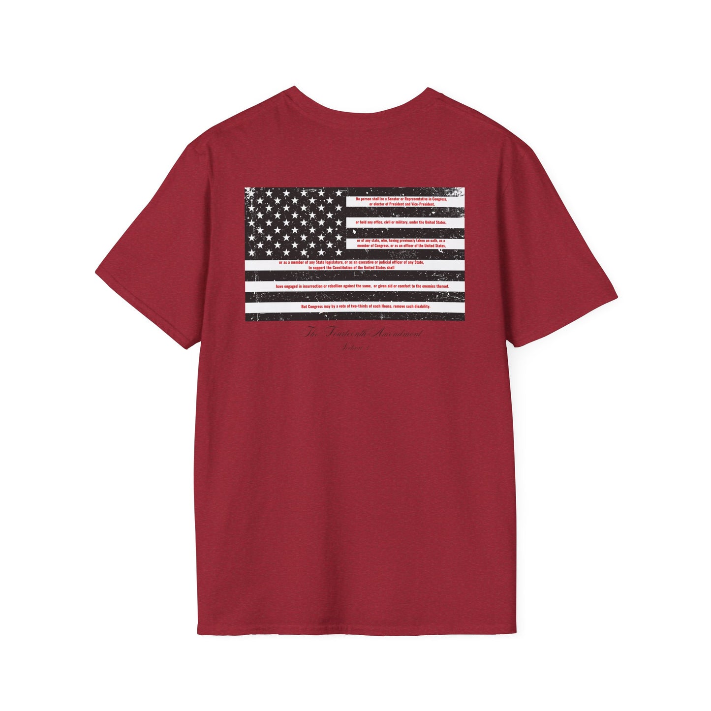 The Fourteenth Amendment (sec 3) ( Insurrection clause)