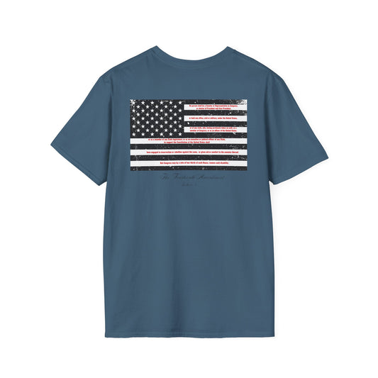 The Fourteenth Amendment (sec 3) ( Insurrection clause)